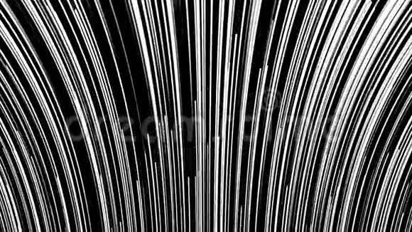 抽象背景与快速飞行垂直弯曲线在黑色背景无缝循环动画空间视频的预览图