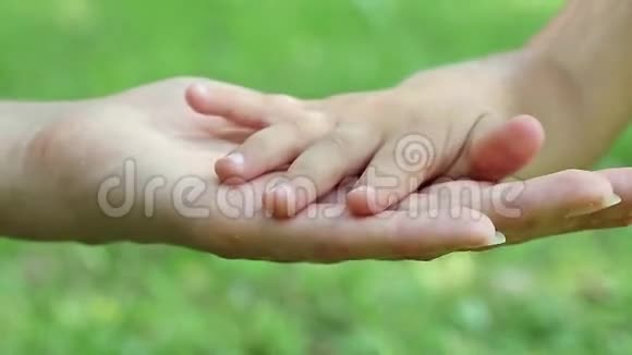 母女双手抹绿色背景手牵手视频的预览图