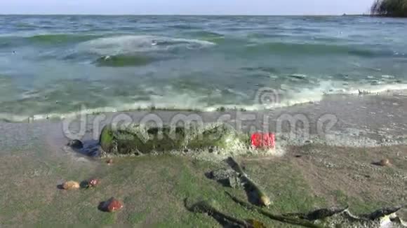 海藻和瓶子污染的海湾绿波视频的预览图