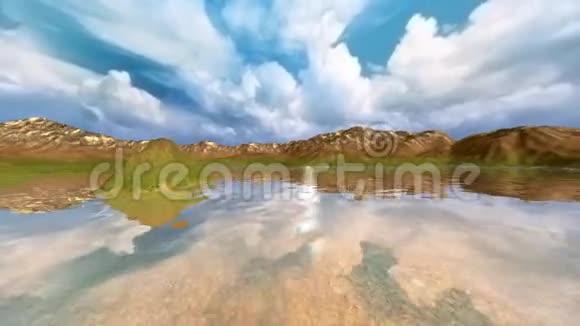 海滩上的全景狮子视频的预览图