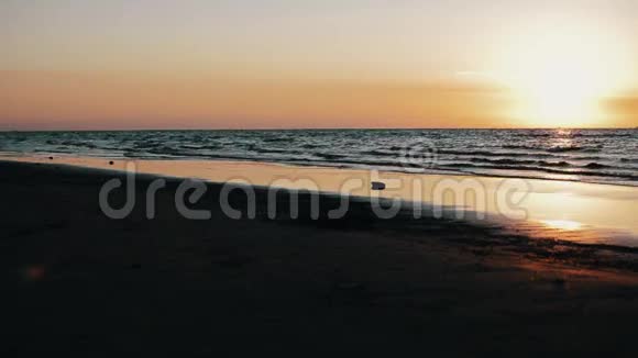 美丽的海上日落景色波浪海滩自然地平线视频的预览图
