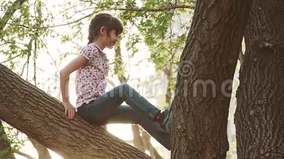 孩子们夏天在公园里玩小女孩坐在树枝上孩子们的冒险快乐视频的预览图