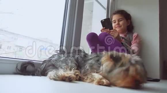 少女上网玩智能手机和宠物狗网络游戏坐在窗台上睡觉视频的预览图