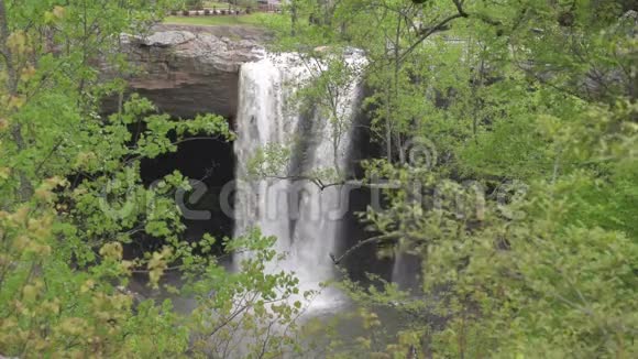 美国阿拉巴马州诺卡卢拉瀑布公园视频的预览图