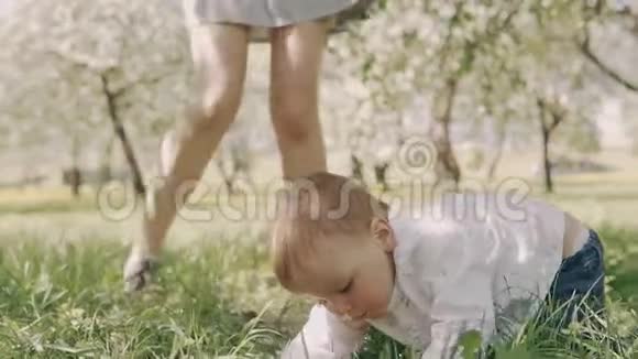 年轻的妈妈和宝宝在夏天公园的户外玩耍时一起欢笑视频的预览图