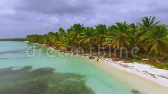 美丽的景色蔚蓝的海岸和高大的棕榈树视频的预览图