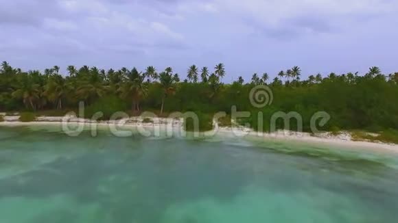 从无人驾驶飞机上看到岛上一片茂密的棕榈树森林视频的预览图