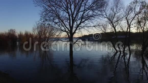 路易斯维尔湖日出潘左视频的预览图