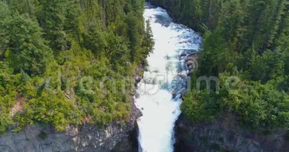 阳光明媚的一天美丽的水从森林悬崖滑落视频的预览图