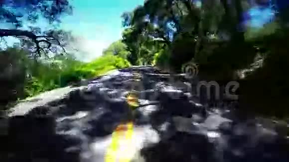 在乡村道路两旁的树上行驶视频的预览图