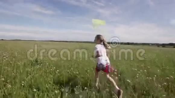 小女孩带着蝴蝶网跑视频的预览图