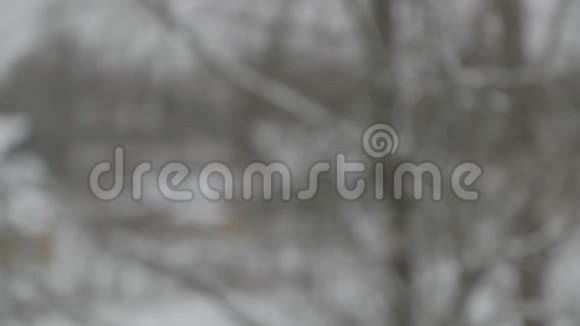 雪慢慢地落在模糊的背景上视频的预览图