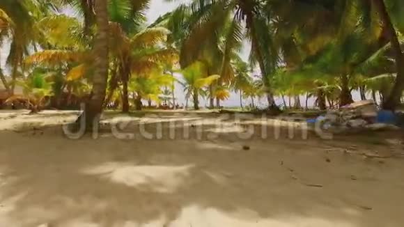 金色的沙滩和绿色的棕榈树视频的预览图