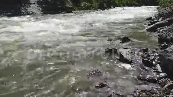 春高水流山河乌尔苏尔岩石和水急流阿尔泰山西伯利亚俄罗斯视频的预览图