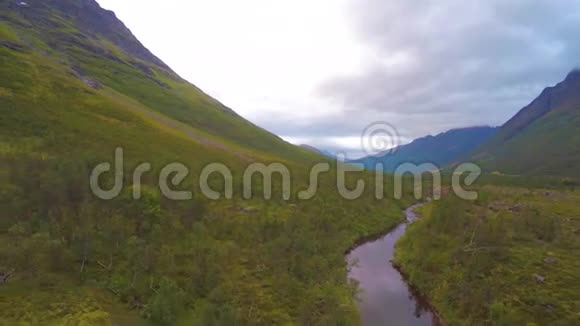 在美丽的高山之间飞过小溪和树木视频的预览图