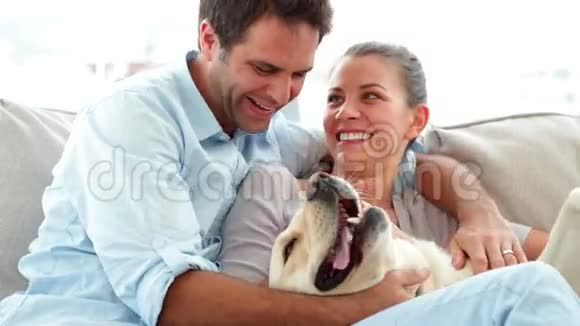 可爱的一对夫妇在沙发上抚摸他们的拉布拉多狗视频的预览图