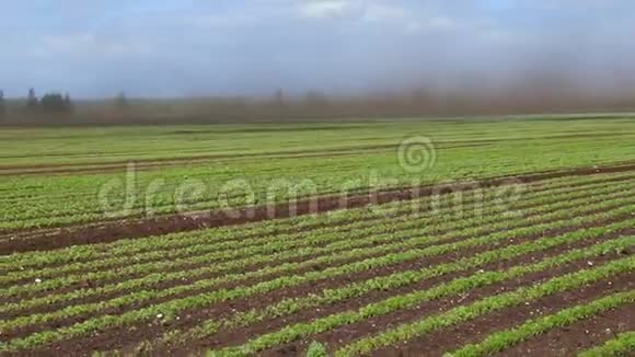 黑色暴雪尘魔在农业上旋转视频的预览图