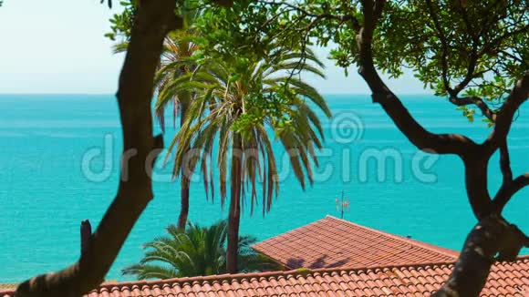 西班牙塔拉戈纳典型的西班牙公寓房海景和棕榈树视频的预览图