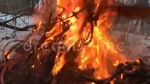 燃烧电气铜线中的火灾慢动作视频视频的预览图