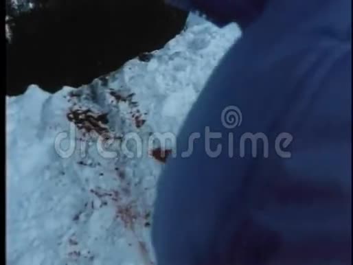 一道雪崖上的血迹视频的预览图