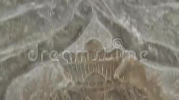 古寺吴哥浮雕细节老人坐ECU视频的预览图