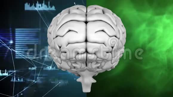 背景下的人脑分为两部分视频的预览图
