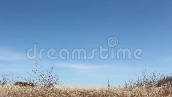 山景CA视频的自然边缘视频的预览图