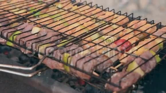 户外烧烤时烤的不同种类的肉视频的预览图