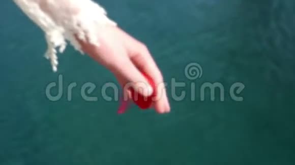 女孩在水里扔玫瑰花瓣视频的预览图