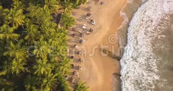 带棕榈树的热带海滩上浪漫的日落斯里兰卡无人机镜头视频的预览图