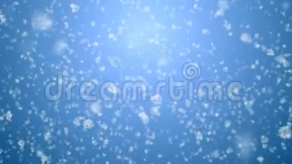 特写大片雪花飞舞降雪无缝蓝色梯度三维动画落下来的白雪公主视频的预览图