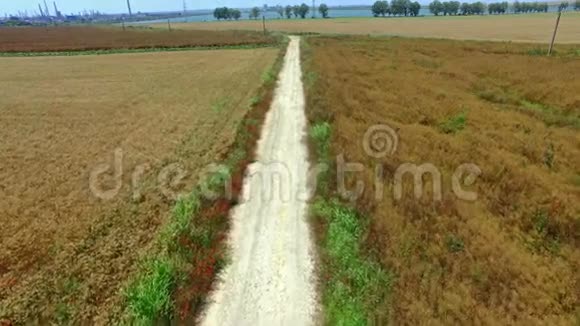 美丽的鸟瞰一条荒芜的乡村道路穿过黄色的麦田视频的预览图