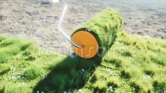 地上一卷草带蝴蝶一堆草生态概念逼真的4K动画视频的预览图