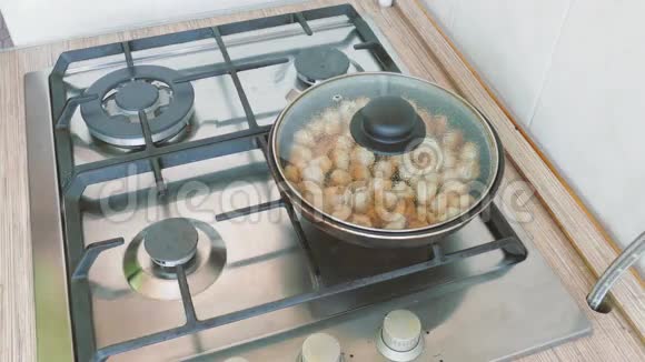 在煎锅里煮饺子视频的预览图
