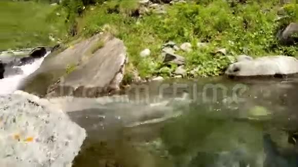 探索高山溪流视频的预览图