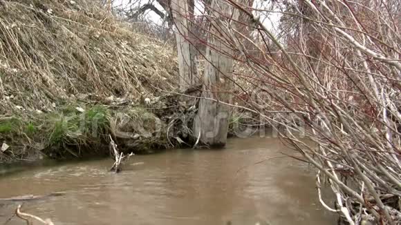 完美的循环溢出泥泞的荒溪视频的预览图