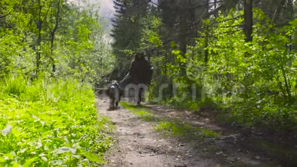 在森林里和狗一起奔跑的年轻女子视频的预览图