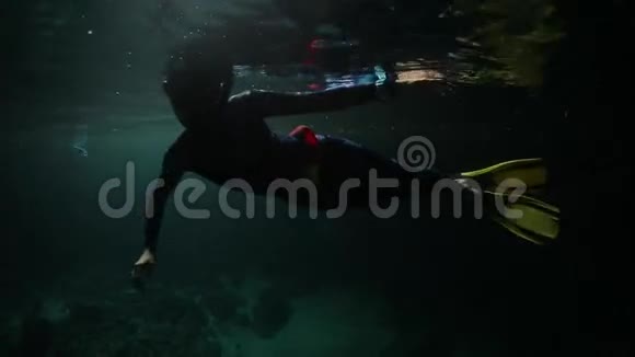 弗里迪佛的水下射击视频的预览图