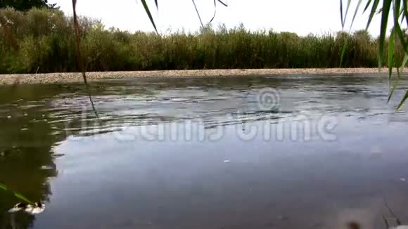 完美环路小溪湿地水流拍摄视频的预览图