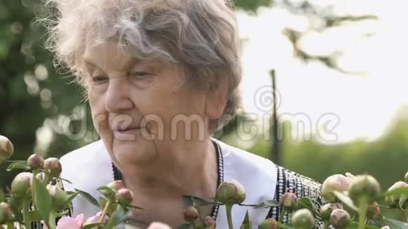 在牡丹生长的背景下的老年妇女视频的预览图