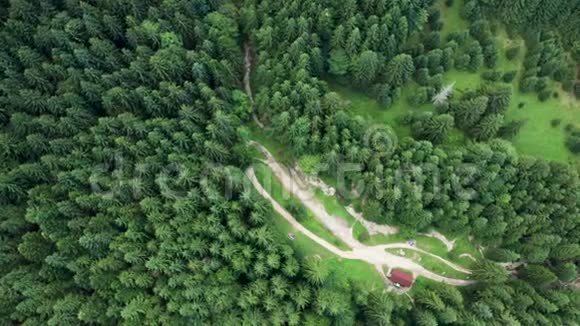 在群山中的绿色森林之上飞翔的无人机视频的预览图