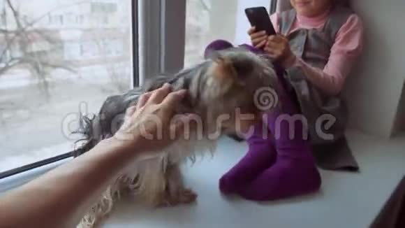 少女在网上玩智能手机游戏宠物狗在窗台上睡觉视频的预览图