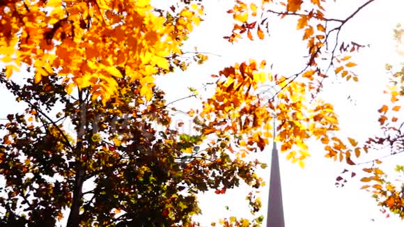 东正教教堂阳光明媚的秋天镜头闪光倾斜声音视频的预览图