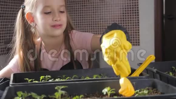有趣的小园丁关心植物可爱的小女孩种树苗春观念自然与关怀视频的预览图
