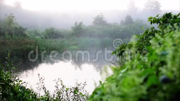 清晨的河雾和美丽的浮子视频的预览图