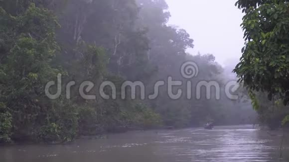 早上热带河游轮视频的预览图
