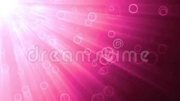 粉红色的圆圈和光线视频的预览图
