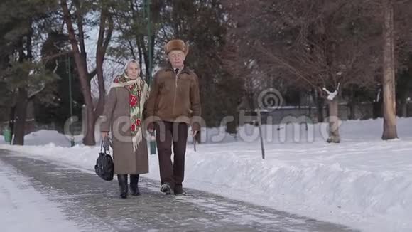 浪漫的高级夫妇在冬天在公园散步爱永远视频的预览图