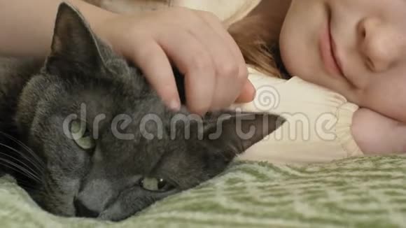 幸福的女孩金发和辫子躺在沙发上抚摸着一只灰色的猫视频的预览图