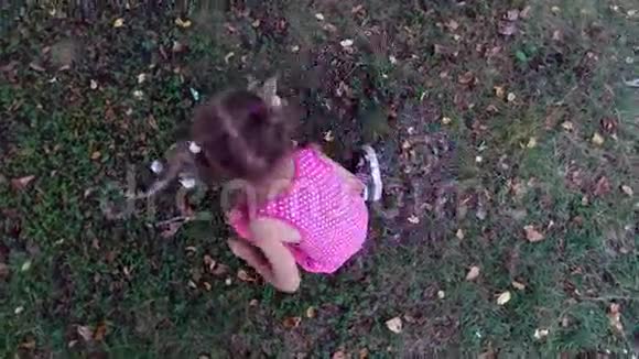 戴眼镜的女孩子在院子里和一只灰色的小猫玩耍一个小女孩喜欢和小猫玩视频的预览图